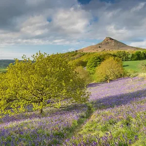 https://nine-potterhill-holiday-cottage.yorkshirehotels.net